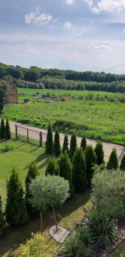 Przyjazny Domek Tarnowskie Góry Exteriör bild